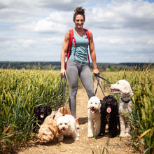 Load image into Gallery viewer, Pack Walk