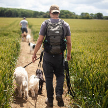 Load image into Gallery viewer, Pack Walk