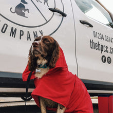 Load image into Gallery viewer, Individual Walk